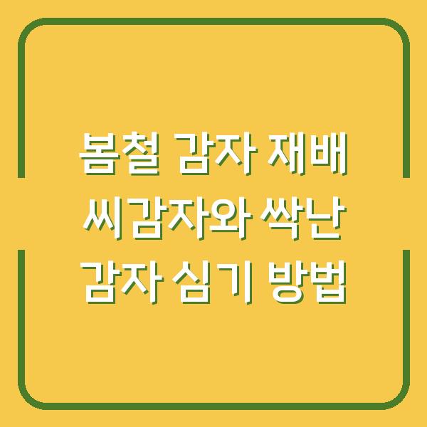 봄철 감자 재배 씨감자와 싹난 감자 심기 방법