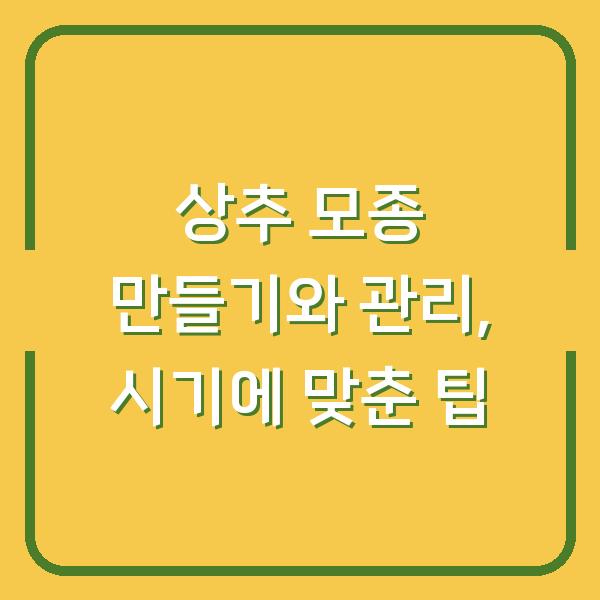 상추 모종 만들기와 관리, 시기에 맞춘 팁