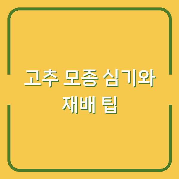 고추 모종 심기와 재배 팁