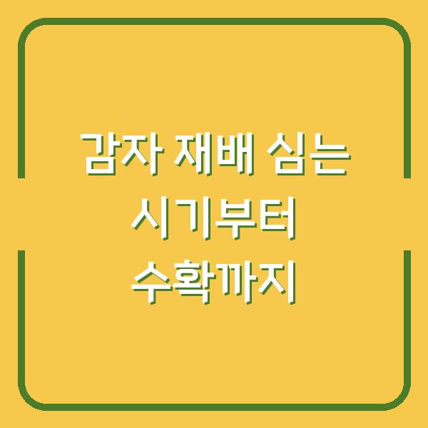 감자 재배 심는 시기부터 수확까지