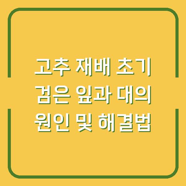 고추 재배 초기 검은 잎과 대의 원인 및 해결법
