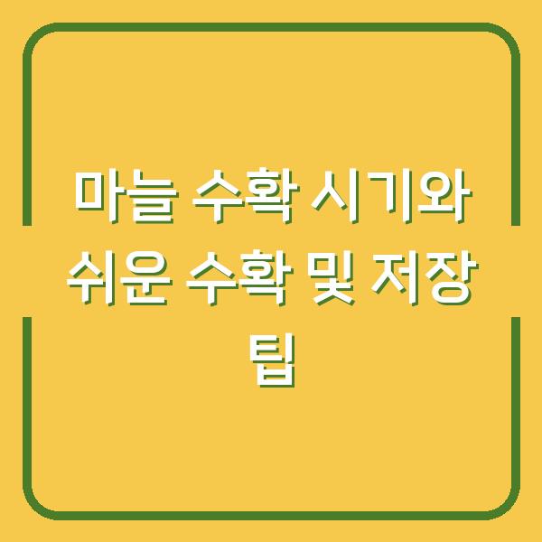 마늘 수확 시기와 쉬운 수확 및 저장 팁