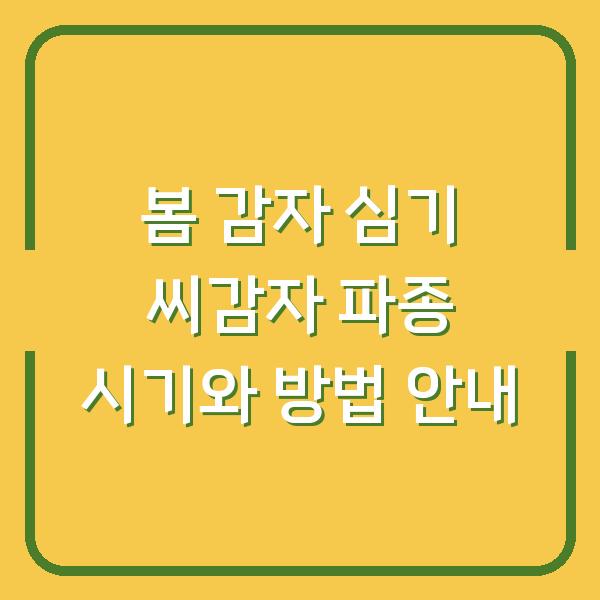 봄 감자 심기 씨감자 파종 시기와 방법 안내