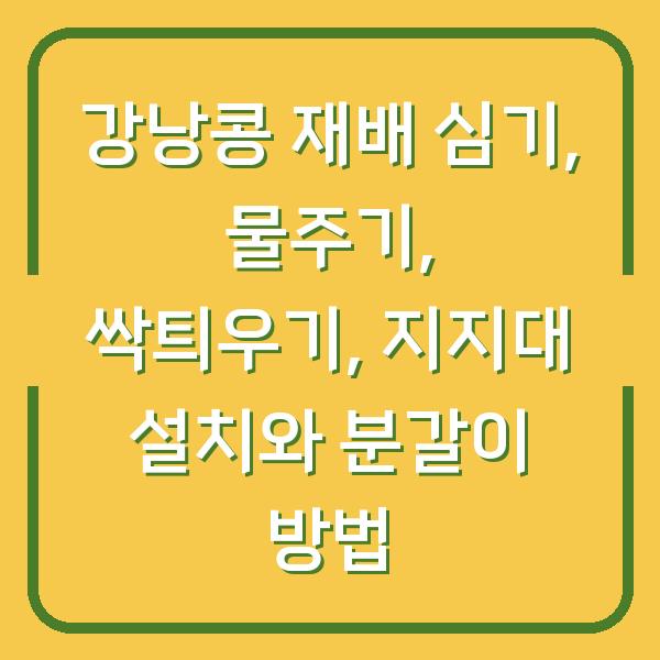 강낭콩 재배 심기, 물주기, 싹틔우기, 지지대 설치와 분갈이 방법