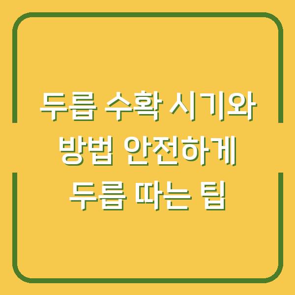두릅 수확 시기와 방법 안전하게 두릅 따는 팁