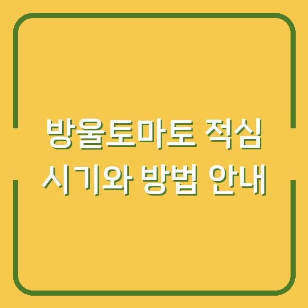 방울토마토 적심 시기와 방법 안내