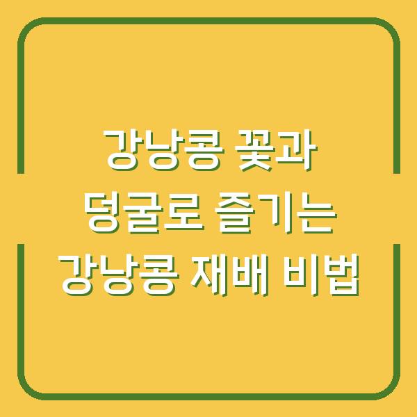 강낭콩 꽃과 덩굴로 즐기는 강낭콩 재배 비법