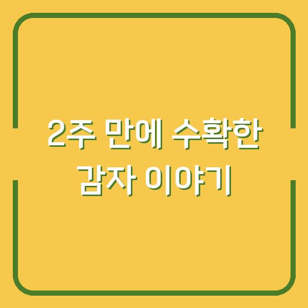 2주 만에 수확한 감자 이야기
