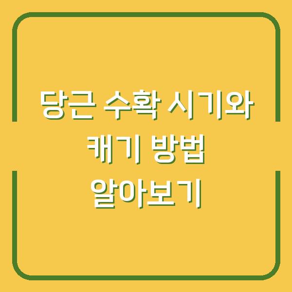 당근 수확 시기와 캐기 방법 알아보기