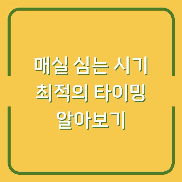 매실 심는 시기 최적의 타이밍 알아보기