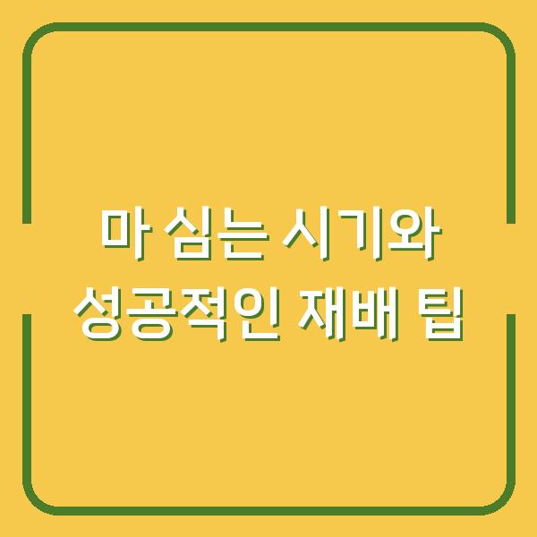 마 심는 시기와 성공적인 재배 팁