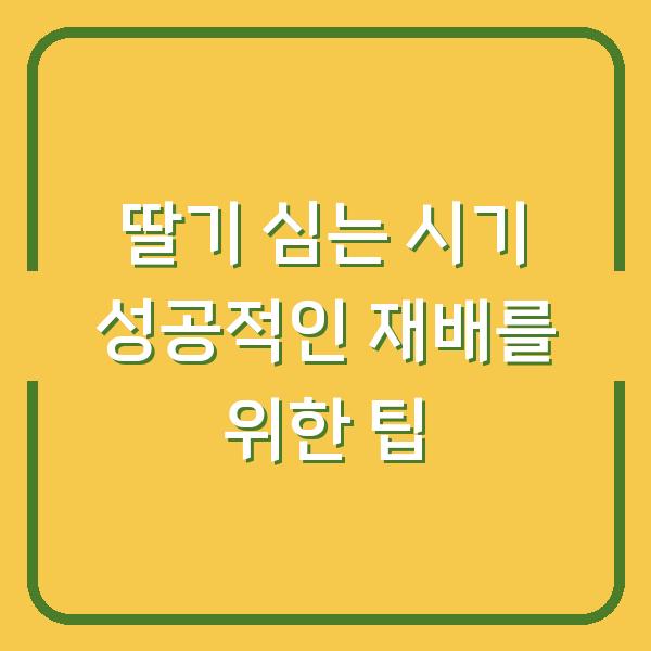 딸기 심는 시기 성공적인 재배를 위한 팁