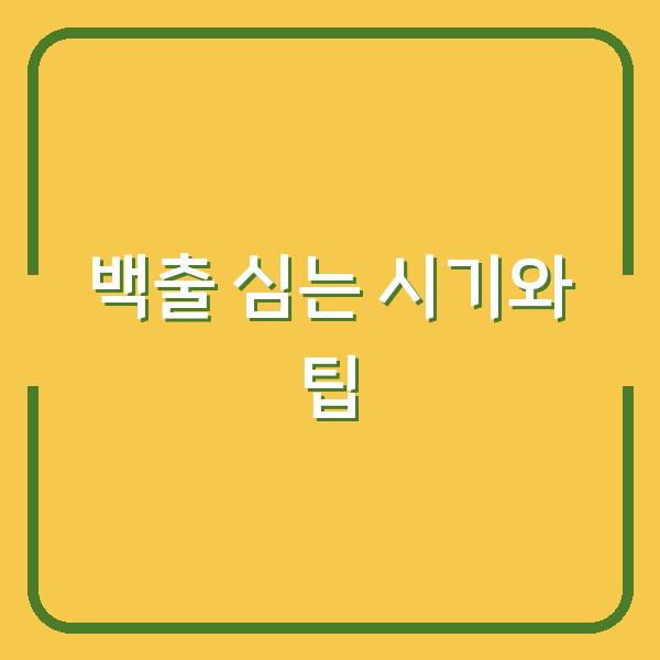 썸네일
