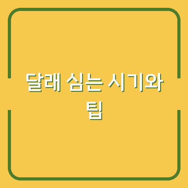 달래 심는 시기와 팁