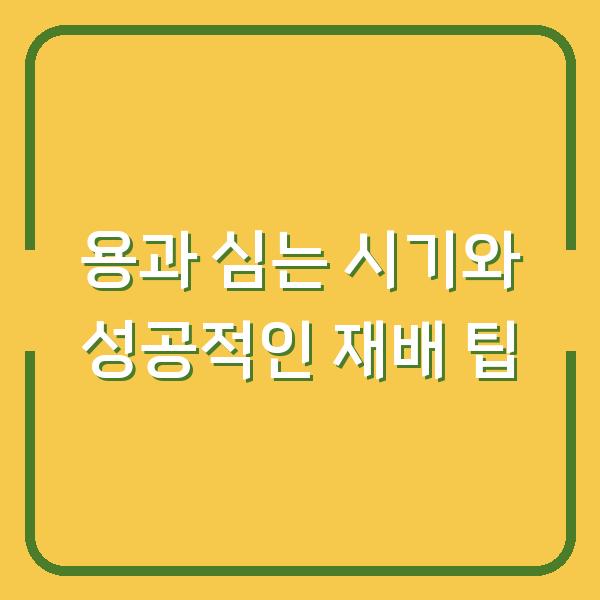용과 심는 시기와 성공적인 재배 팁