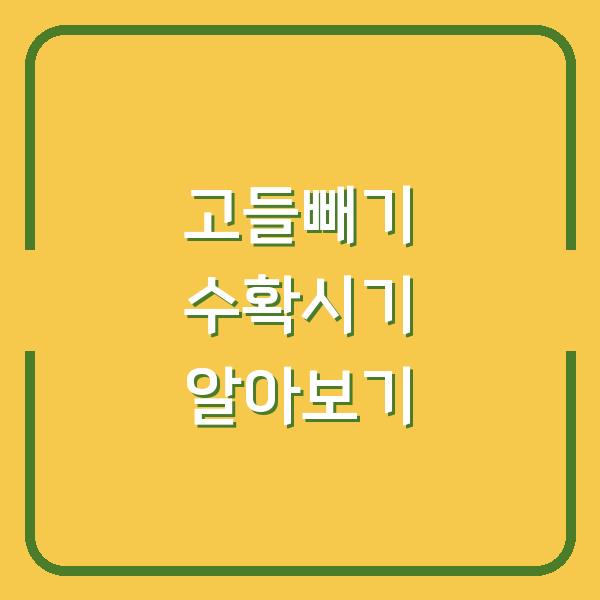 고들빼기 수확시기 알아보기