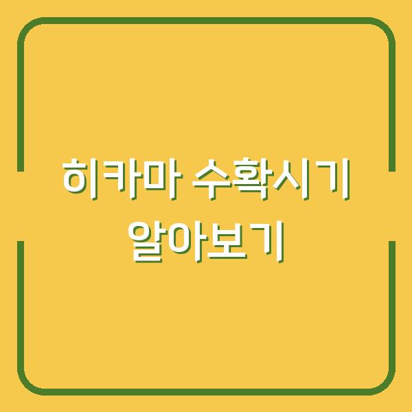 히카마 수확시기 알아보기