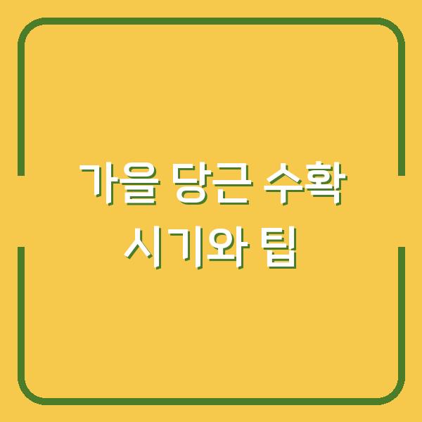 가을 당근 수확 시기와 팁