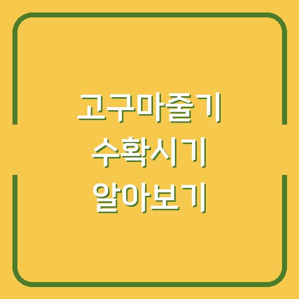 썸네일