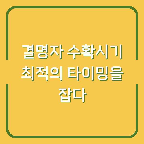 썸네일