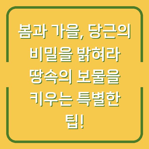 봄과 가을, 당근의 비밀을 밝혀라 땅속의 보물을 키우는 특별한 팁!