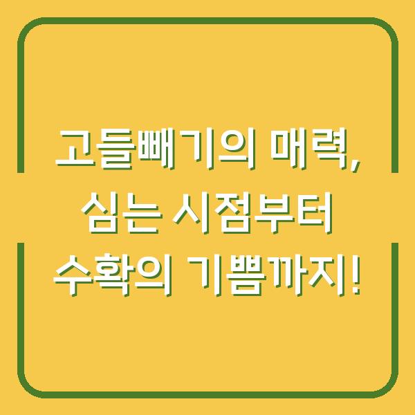 고들빼기의 매력, 심는 시점부터 수확의 기쁨까지!