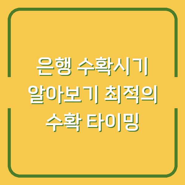 은행 수확시기 알아보기 최적의 수확 타이밍
