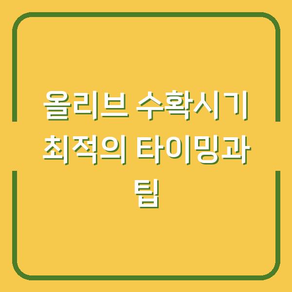 올리브 수확시기 최적의 타이밍과 팁