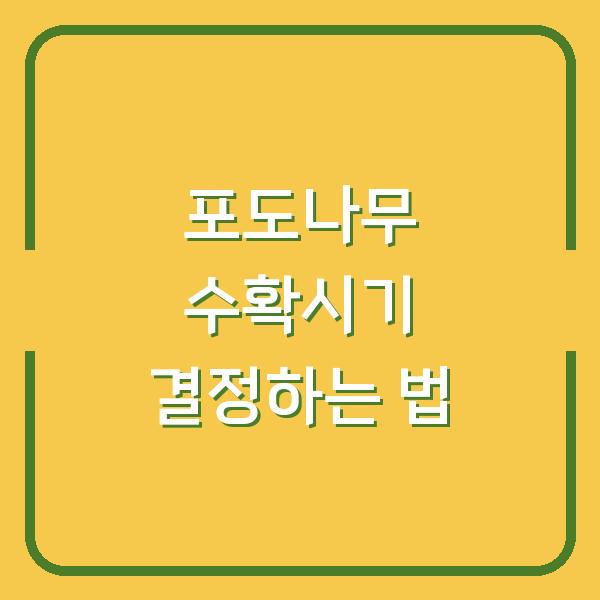 포도나무 수확시기 결정하는 법