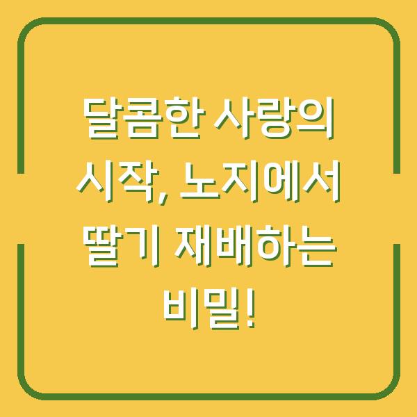 달콤한 사랑의 시작, 노지에서 딸기 재배하는 비밀!
