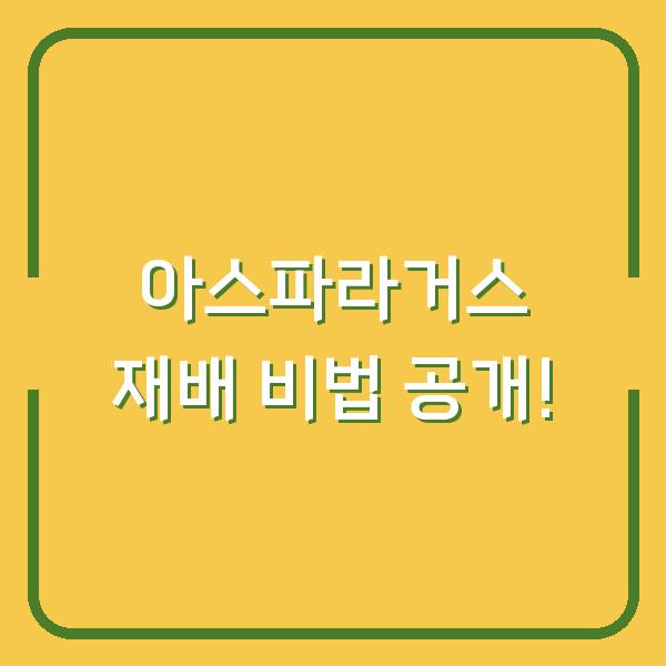 아스파라거스 재배 비법 공개!