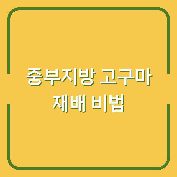 썸네일