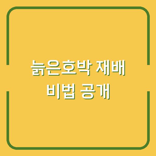 늙은호박 재배 비법 공개