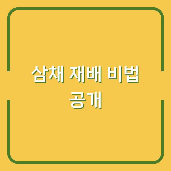 삼채 재배 비법 공개
