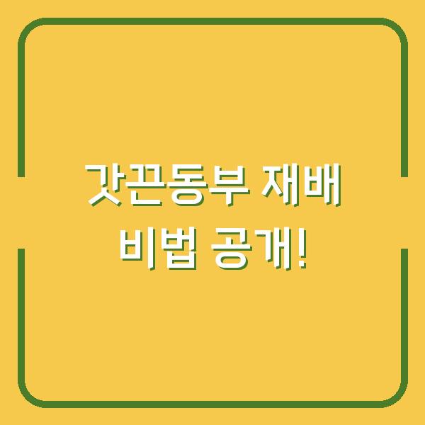 썸네일