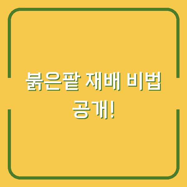 썸네일