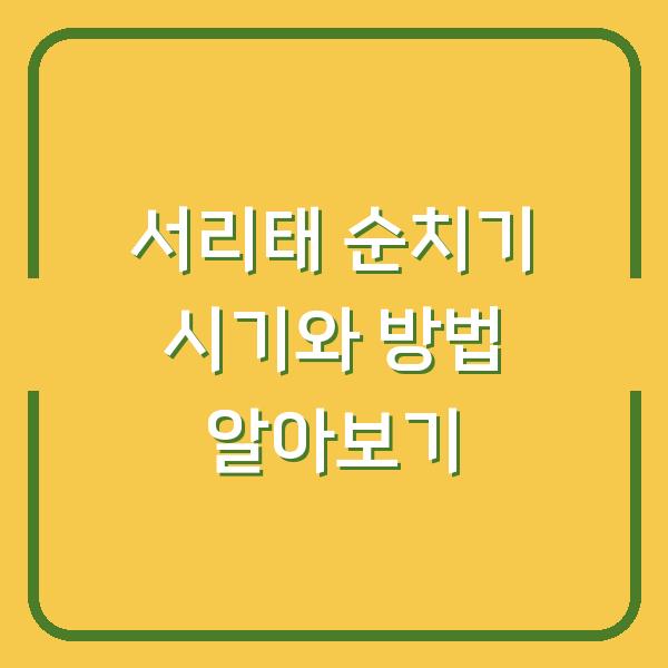 썸네일