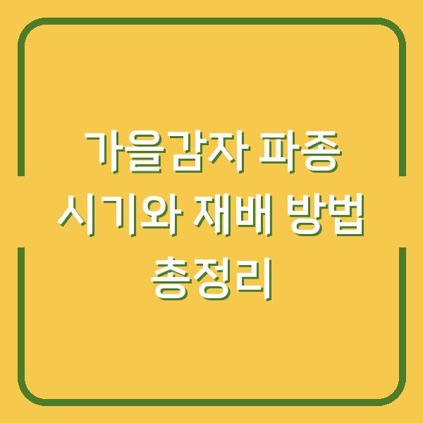 가을감자 파종 시기와 재배 방법 총정리