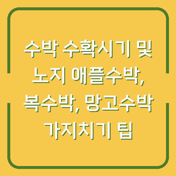 수박 수확시기 및 노지 애플수박, 복수박, 망고수박 가지치기 팁