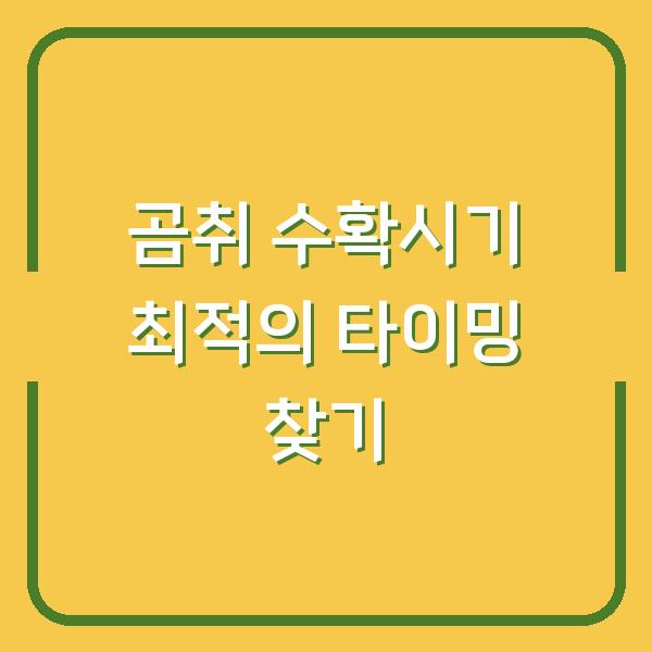 썸네일