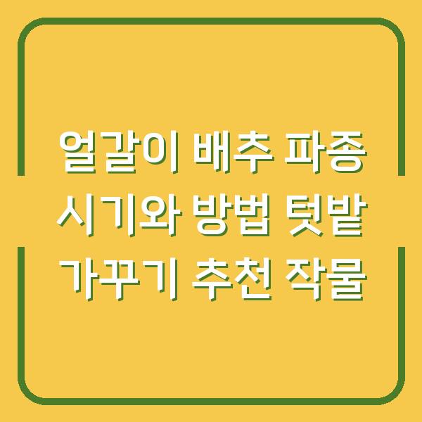 얼갈이 배추 파종 시기와 방법 텃밭 가꾸기 추천 작물