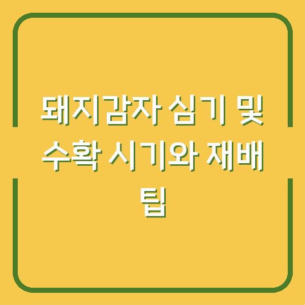 돼지감자 심기 및 수확 시기와 재배 팁