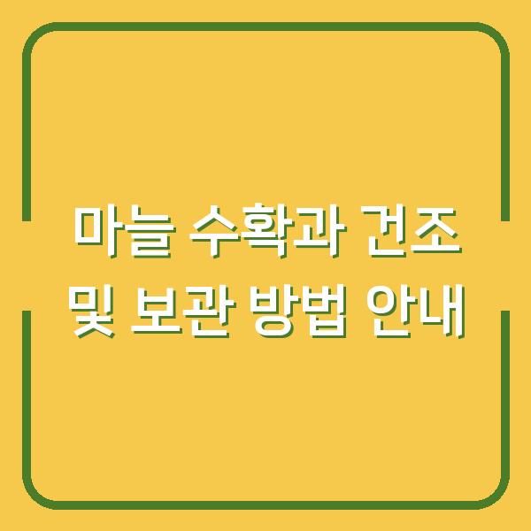 마늘 수확과 건조 및 보관 방법 안내