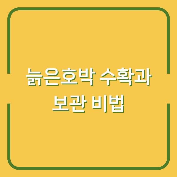 늙은호박 수확과 보관 비법
