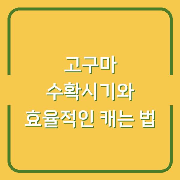 썸네일