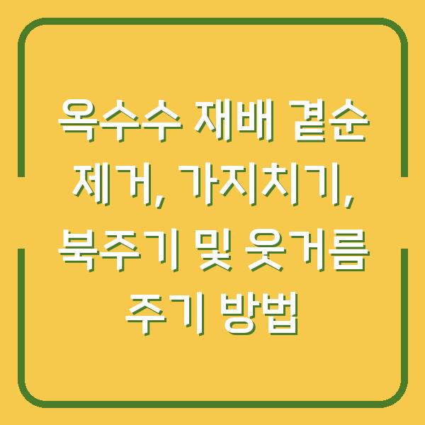 옥수수 재배 곁순 제거, 가지치기, 북주기 및 웃거름 주기 방법