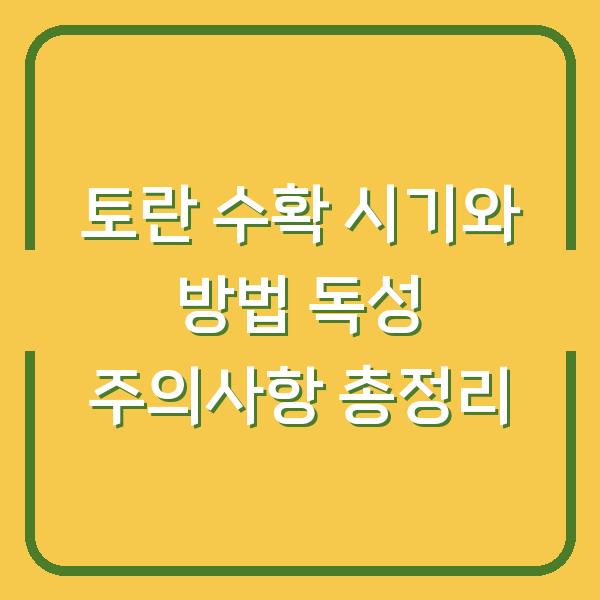 토란 수확 시기와 방법 독성 주의사항 총정리