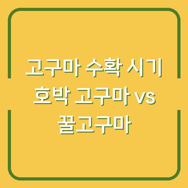 고구마 수확 시기 호박 고구마 vs 꿀고구마