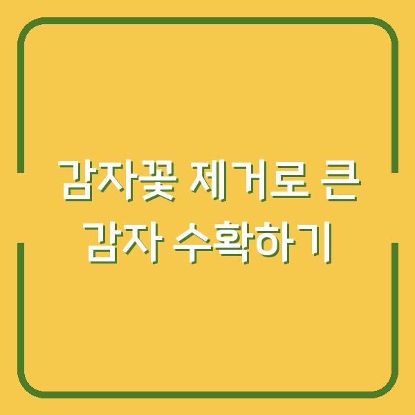 감자꽃 제거로 큰 감자 수확하기