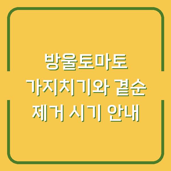 방울토마토 가지치기와 곁순 제거 시기 안내
